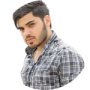 ناصر نیک پور– مسئول سئو